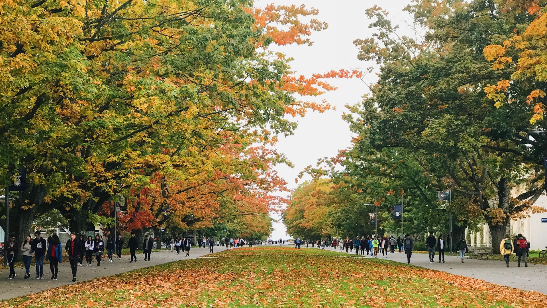 Une pelouse bordée de rangées d'arbres qui changent de couleur pour l'automne. L'université de Colombie-Britannique a quadruplé ses séances de tutorat avec Nimbus Learning.