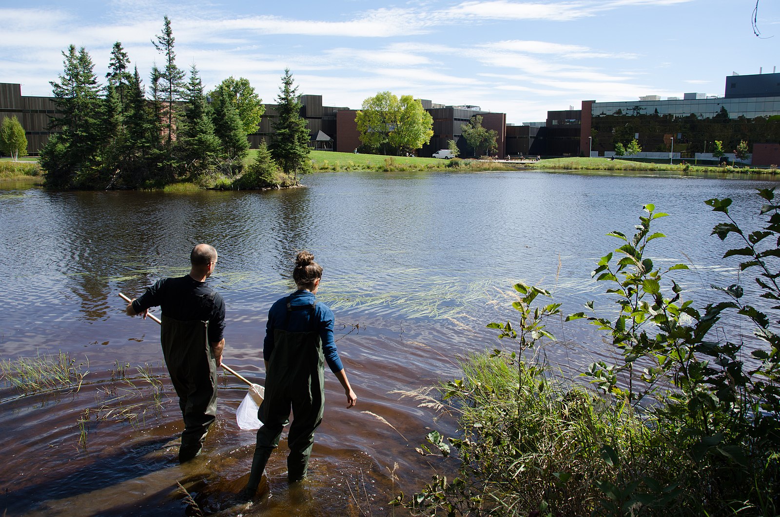 Une photo de l'étang derrière l'Université Nipissing, qui est souvent utilisé pour la recherche. L'école s'est associée à Nipissing pour soutenir son programme de tutorat par les pairs.